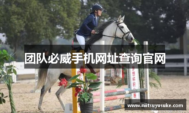 团队必威手机网址查询官网